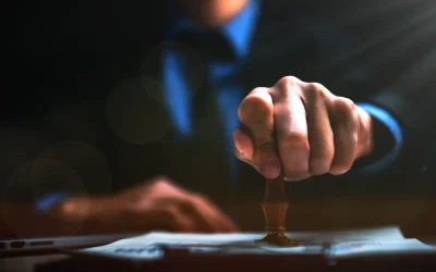 What is a WDA (H) (Wholesale Distribution Authorisation)?