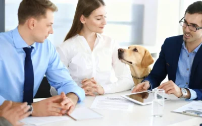 Applying for a WDA(V) (Veterinary Medicines Wholesale Distribution Authorisation) in 2026
