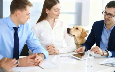 Applying for a WDA(V) (Veterinary Medicines Wholesale Distribution Authorisation) in 2026